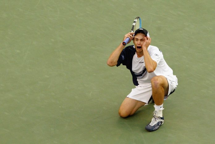 Roddick celebrates win