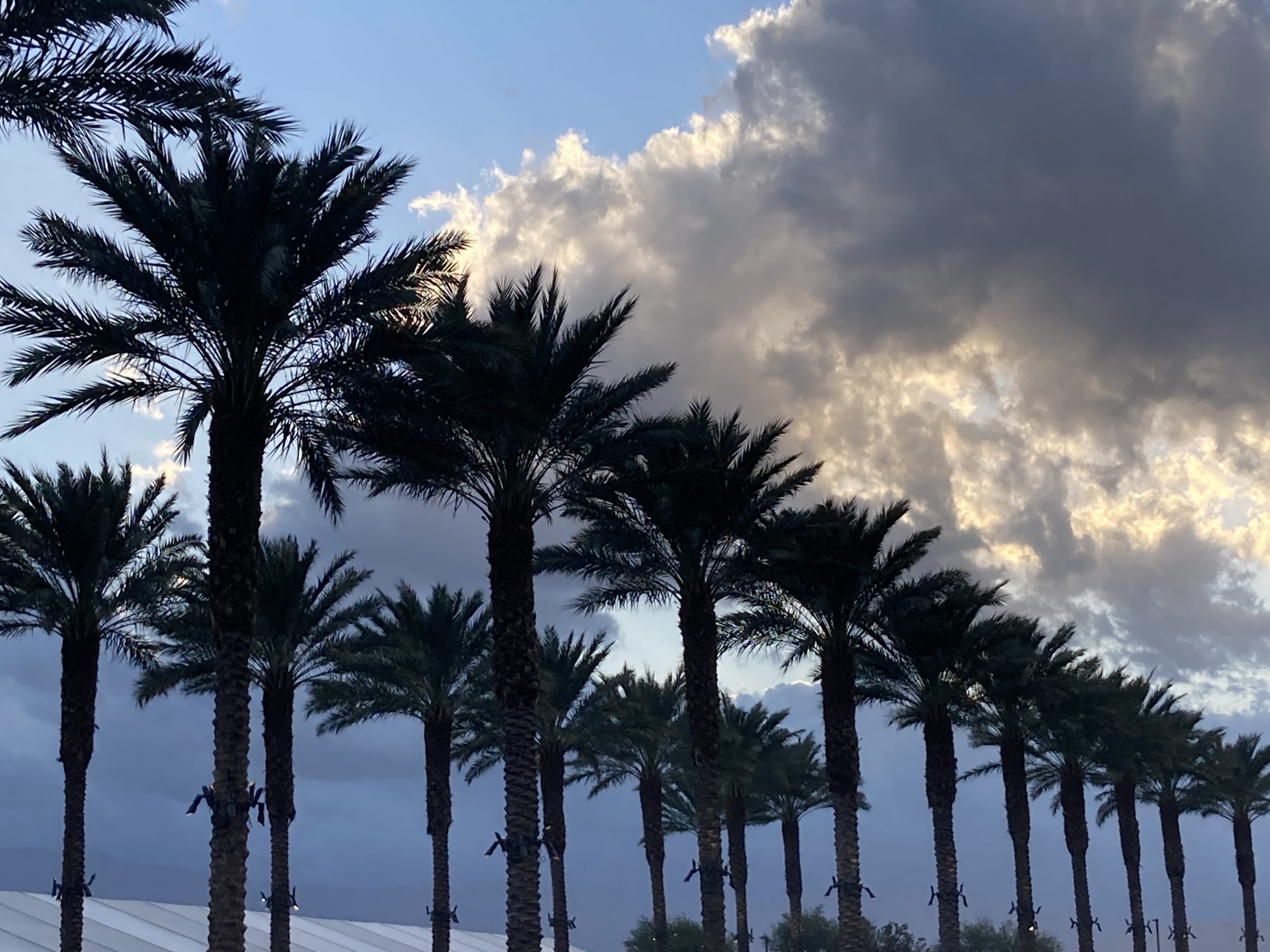 Stormy Weather at Indian Wells