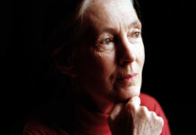My Love Affair with Jane Goodall
