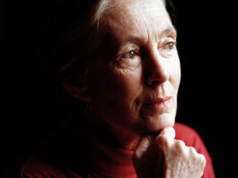 My Love Affair with Jane Goodall